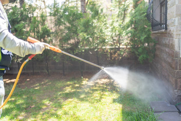 Best Residential Pest Control  in Durand, MI